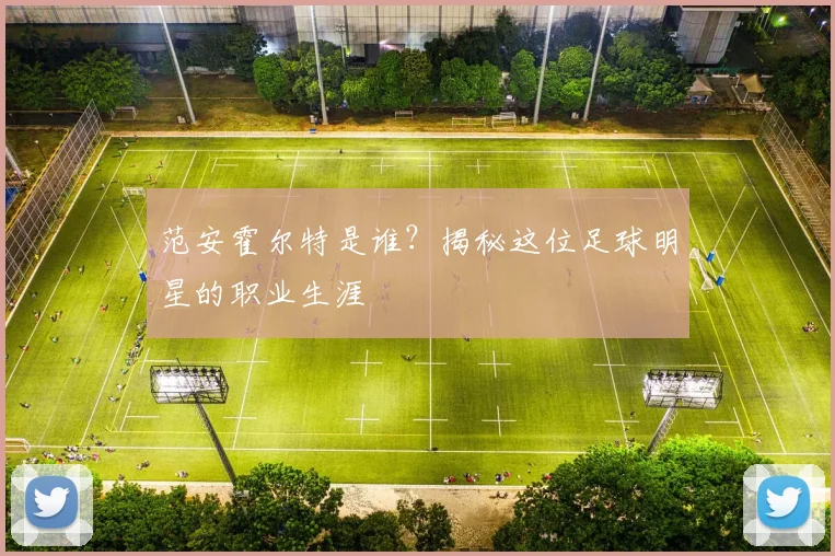 范安霍尔特是谁？揭秘这位足球明星的职业生涯