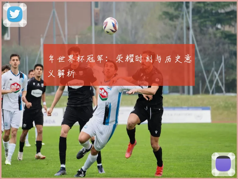年世界杯冠军：荣耀时刻与历史意义解析