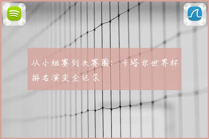 从小组赛到决赛圈：卡塔尔世界杯排名演变全记录