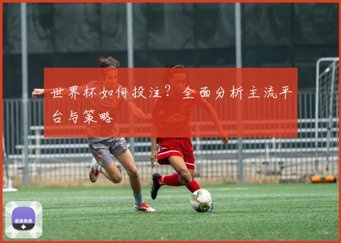 世界杯如何投注？全面分析主流平台与策略