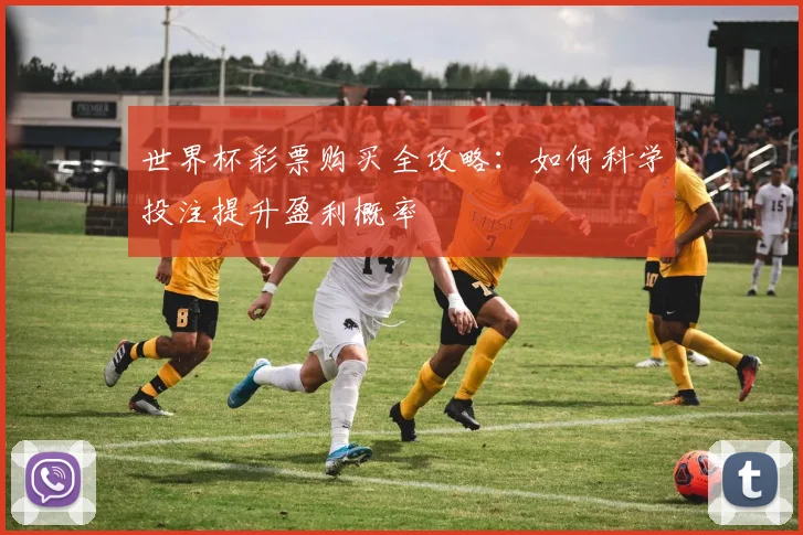 世界杯彩票购买全攻略:如何科学投注提升盈利概率